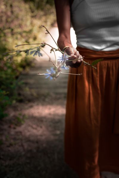 Foto de flores en mano de mujer